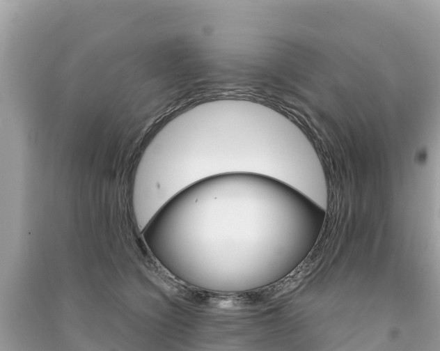 X0000091300564200708101050