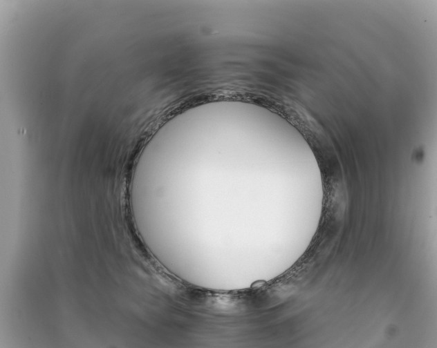 X0000091300565200708101050