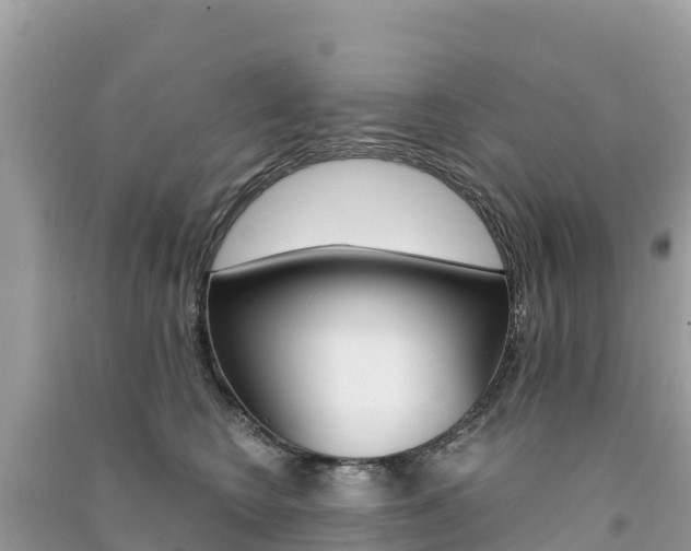 X0000091300566200708101050
