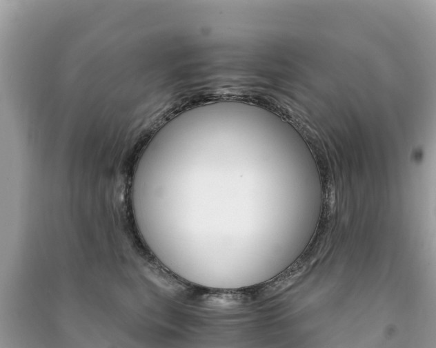 X0000091300567200708101050