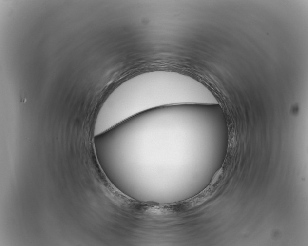 X0000091300568200708101050