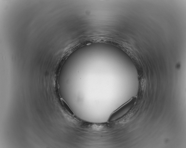 X0000091300570200708101050