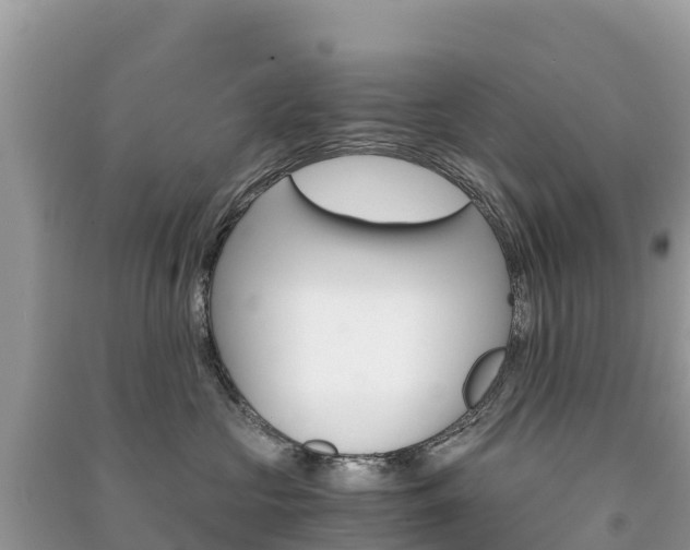 X0000091300573200708101050