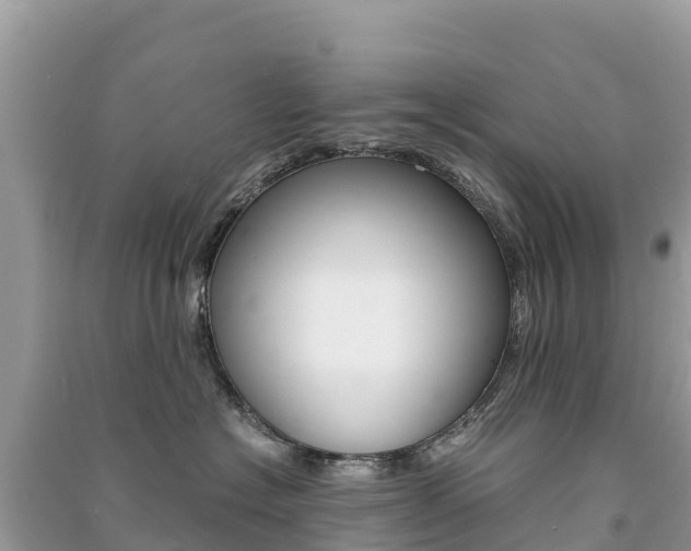 X0000091300574200708101050
