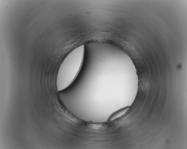 X0000091300575200708101050