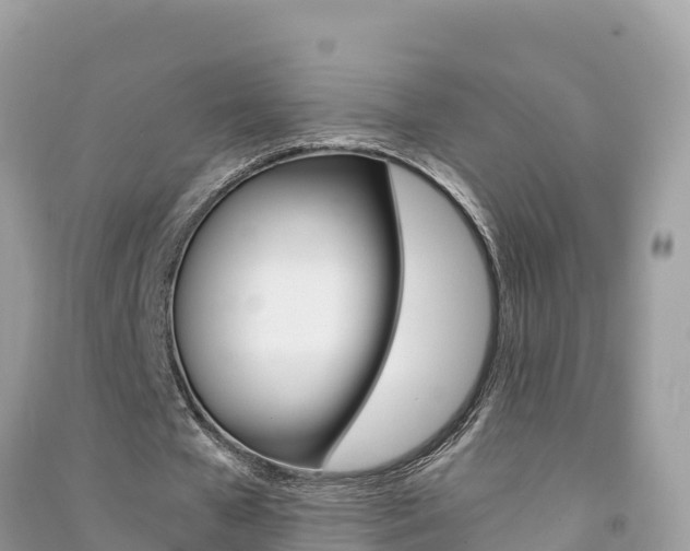 X0000091300577200708101049