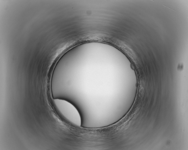 X0000091300578200708101049