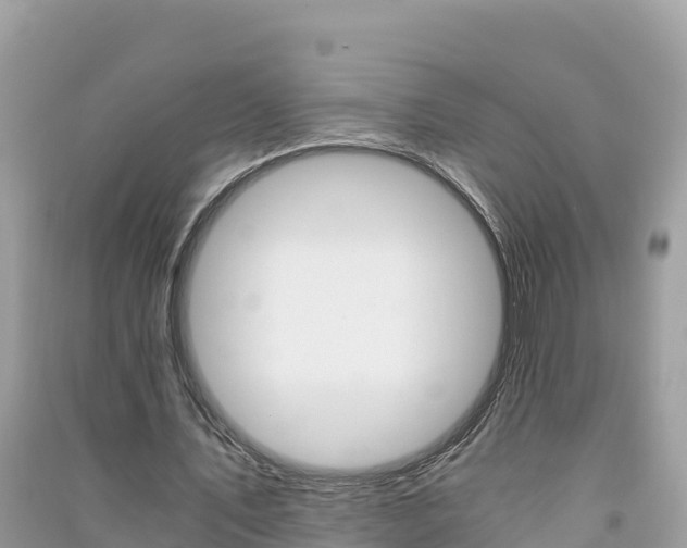 X0000091300579200708101049