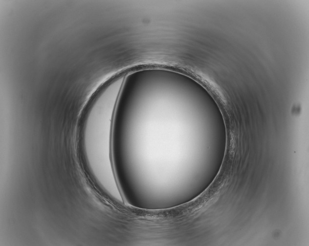 X0000091300580200708101049