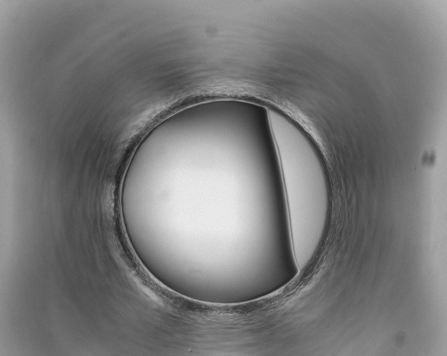 X0000091300581200708101049