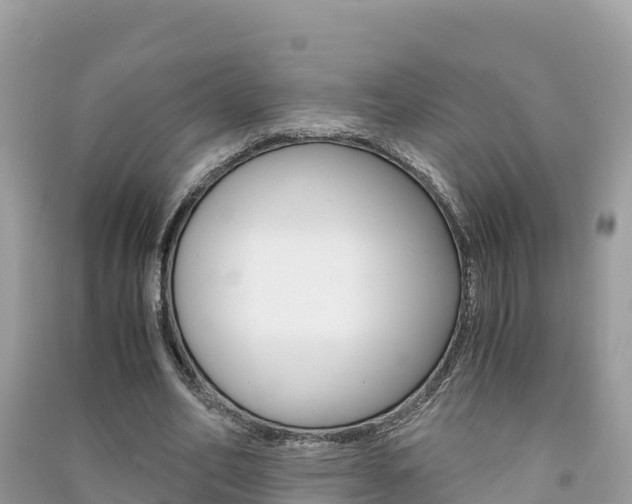 X0000091300582200708101049