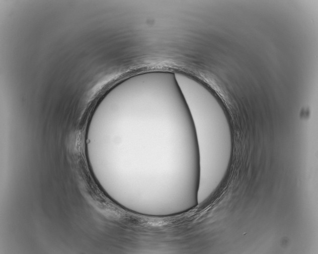 X0000091300583200708101049