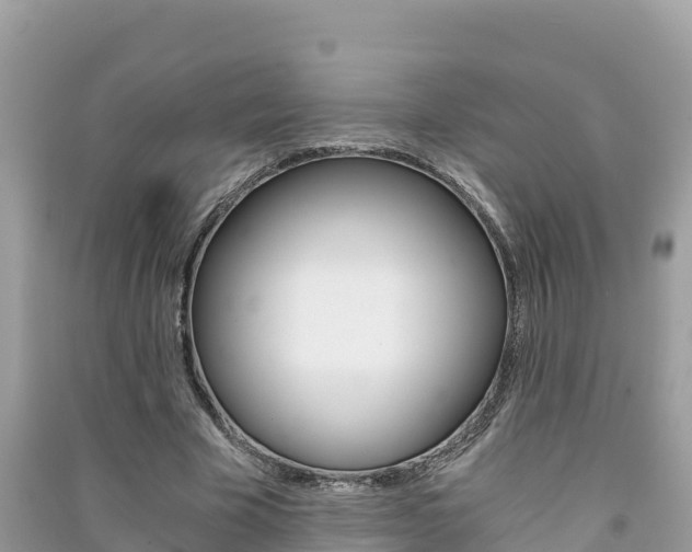 X0000091300585200708101049