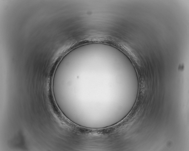 X0000091300586200708101049