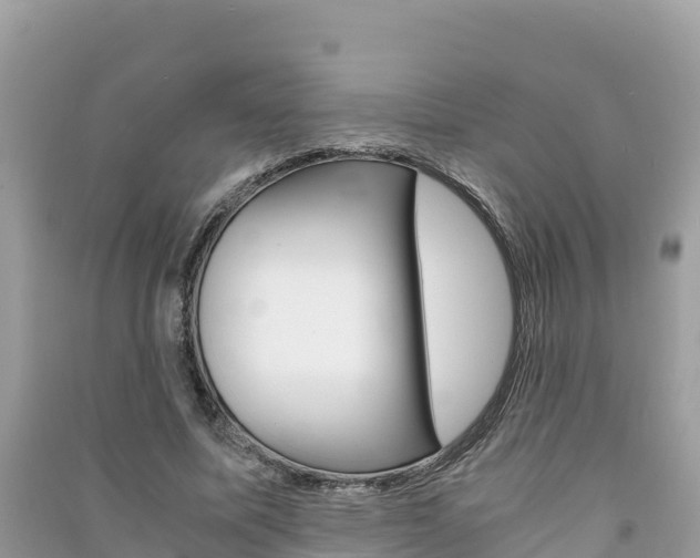 X0000091300587200708101049
