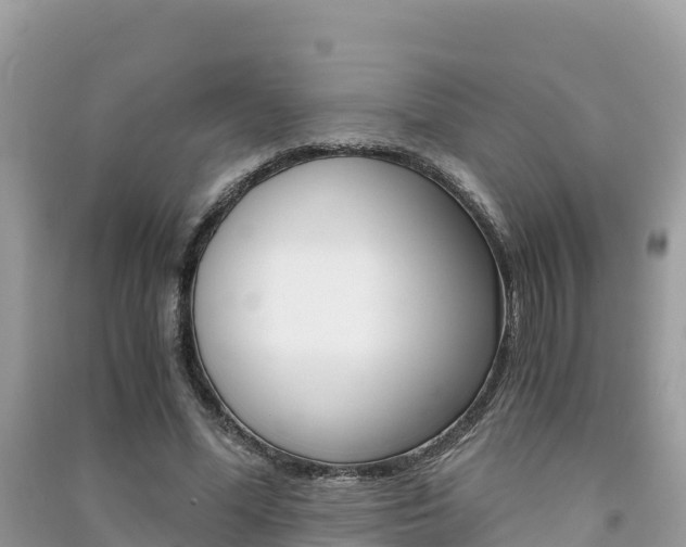 X0000091300588200708101049