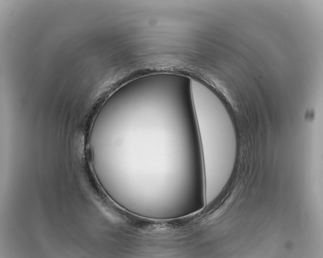 X0000091300589200708101049