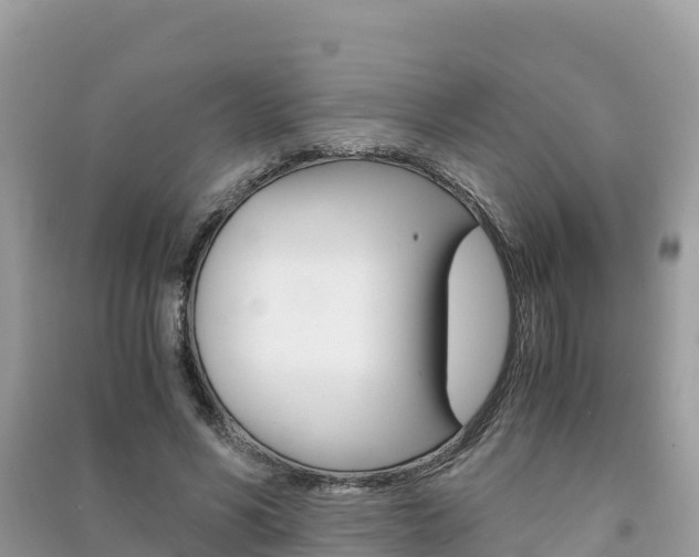 X0000091300590200708101049