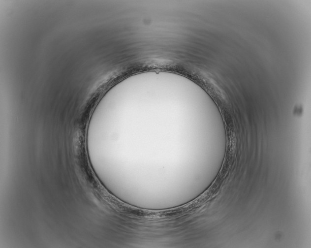 X0000091300591200708101049
