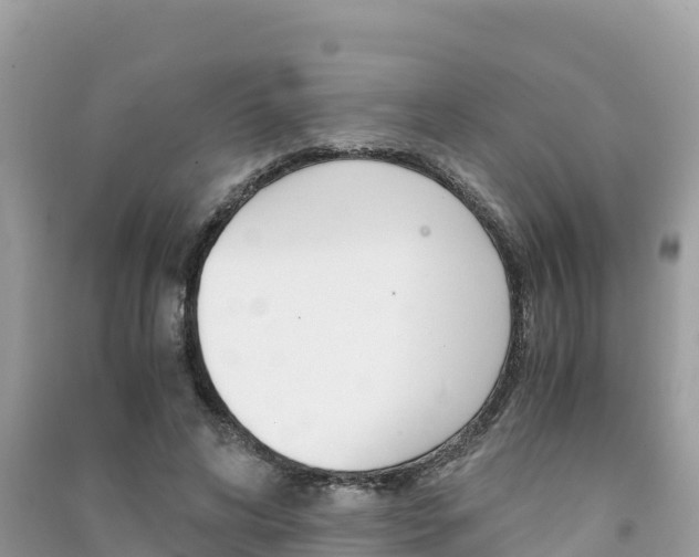 X0000091300592200708101049