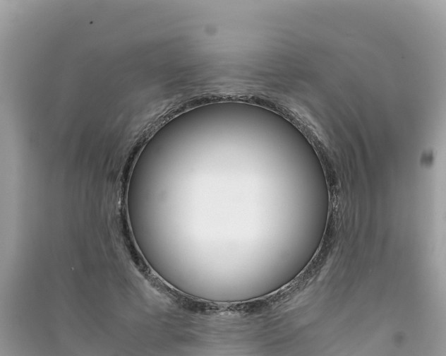 X0000091300593200708101049