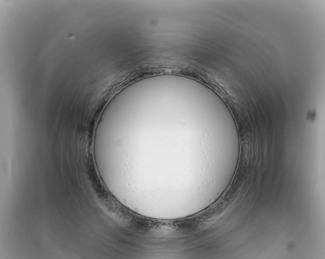 X0000091300594200708101049
