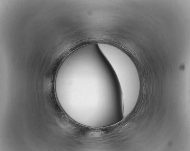 X0000091300595200708101049