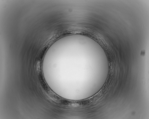 X0000091300598200708101049