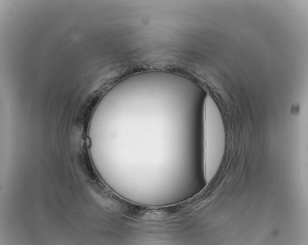 X0000091300599200708101049