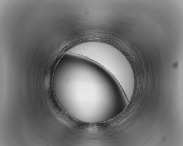 X0000091300600200708101049