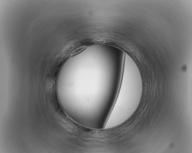 X0000091300601200708101049