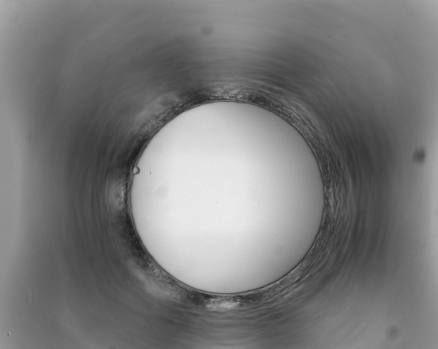 X0000091300602200708101049