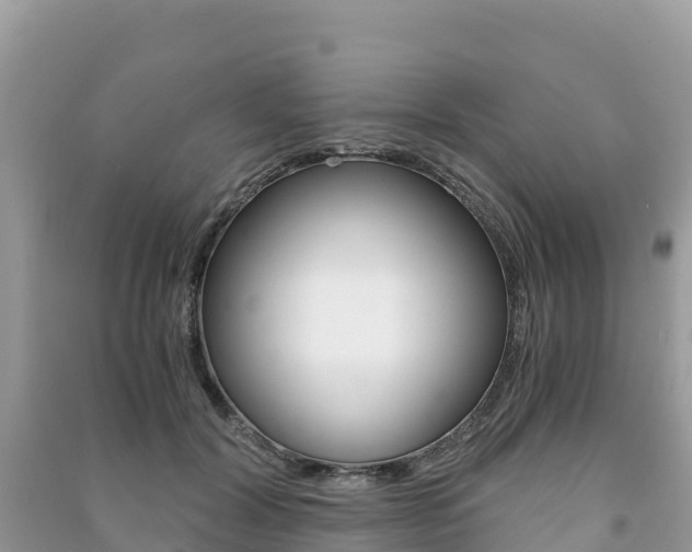 X0000091300604200708101049