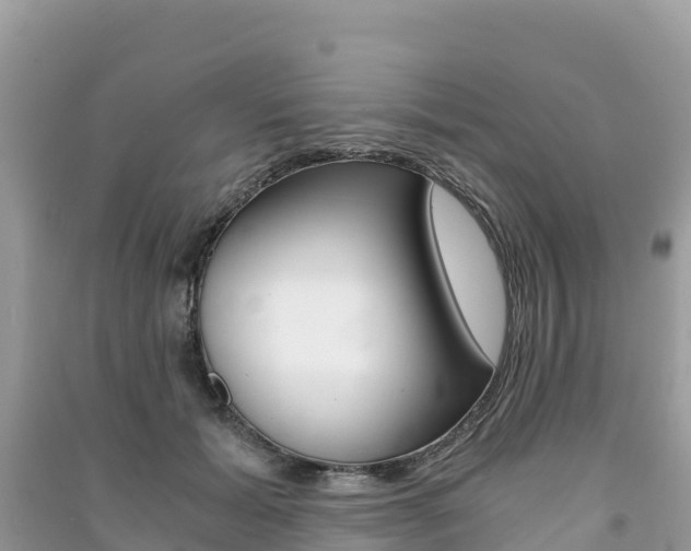X0000091300605200708101049