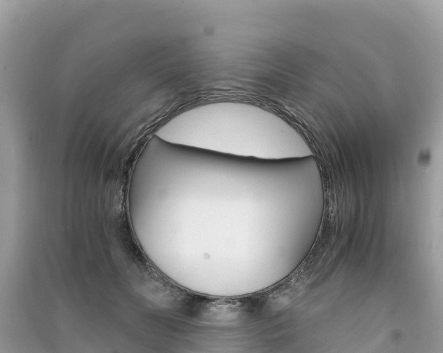 X0000091300606200708101049