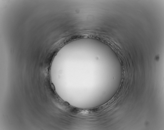 X0000091300611200708101049