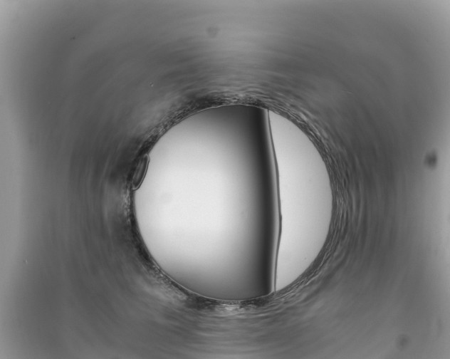 X0000091300613200708101049