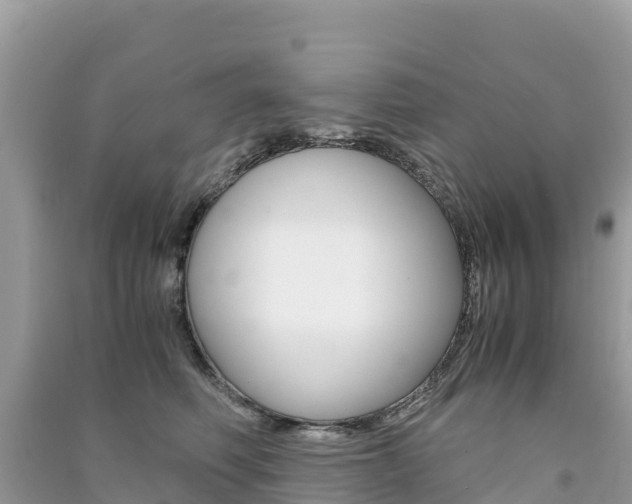 X0000091300614200708101049
