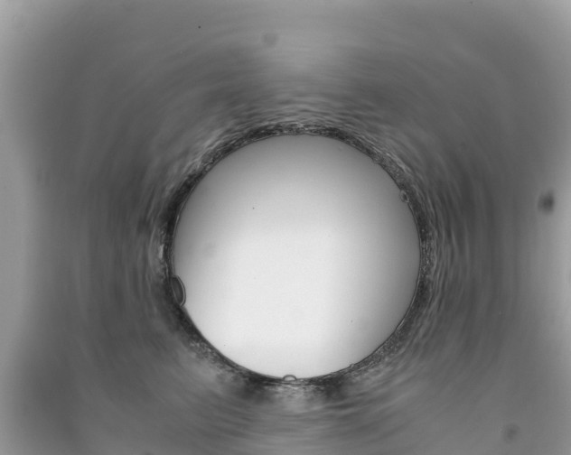 X0000091300615200708101049