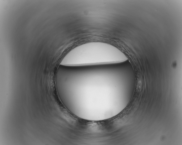 X0000091300616200708101049