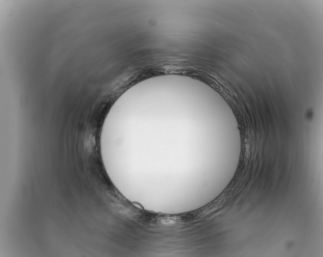 X0000091300618200708101049