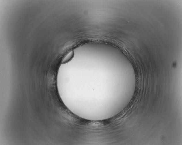X0000091300619200708101049