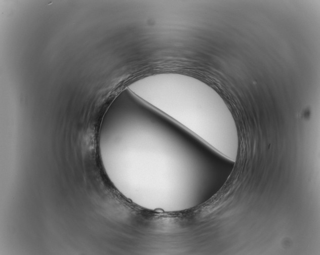 X0000091300620200708101049