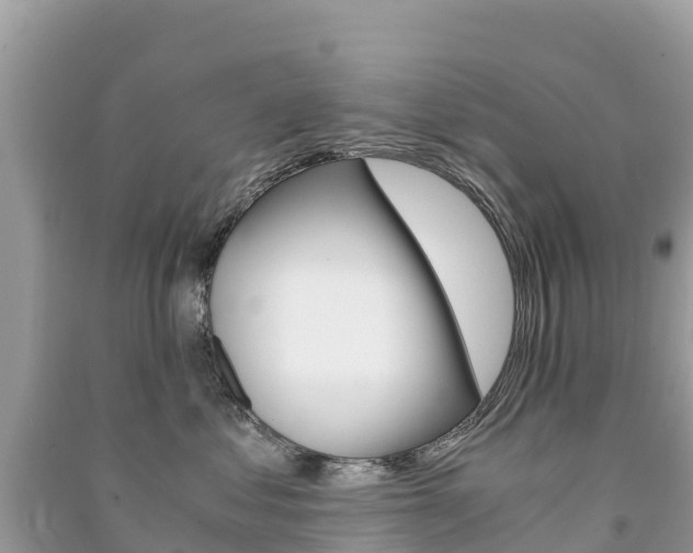 X0000091300621200708101049