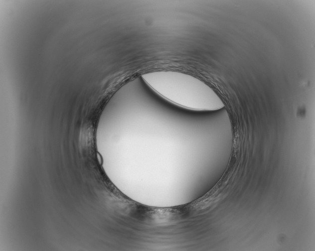 X0000091300623200708101049