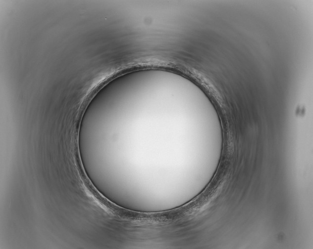 X0000091300625200708101048