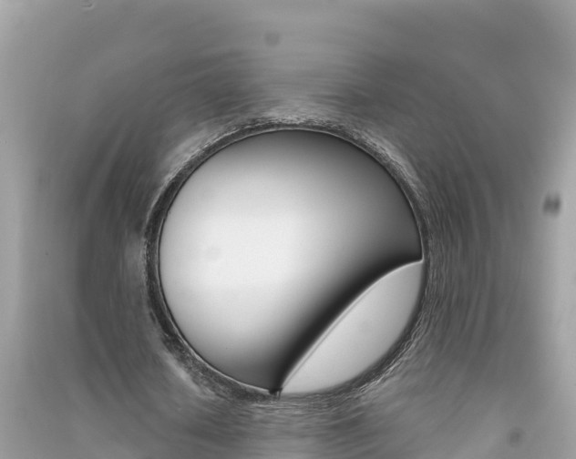 X0000091300626200708101048