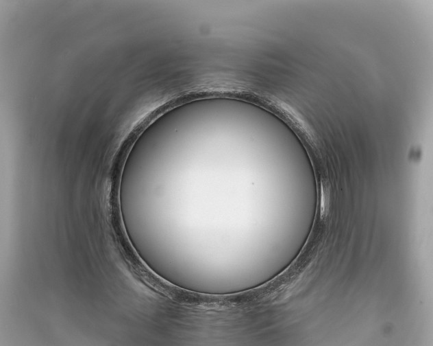 X0000091300627200708101048