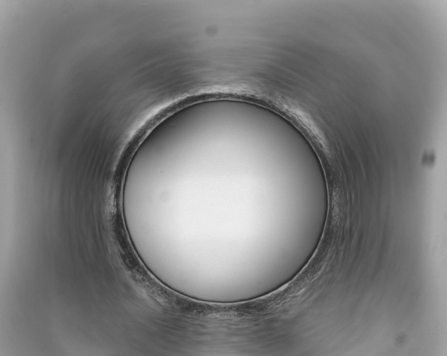X0000091300628200708101048