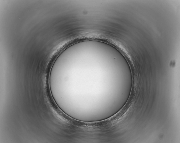 X0000091300629200708101048
